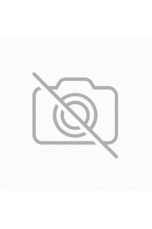 Alacalı Dışbudak Yap. Akçaağaç (Acer Negundo 'variegatum')